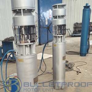 Pompe Eau Lectrique Immerge <b>Submersible</b> <b>Water</b> <b>Pump</b> for Deep Well Irrigation Systems - Product Image 3