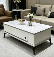 Ensemble de meuble TV et table basse de luxe pour salon, design moderne et minimaliste, idéal pour petit appartement