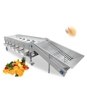 Máquina automática de clasificación de tamaño de frutas y verduras, patata, manzana, aguacate, cebolla, patata