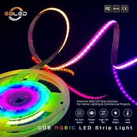 Bande LED COB RGBIC haute densité 420 LED/M WS2811 12V 24V, adressable sans points pour éclairage architectural paysager et éclairage de niche, CE RoHS
