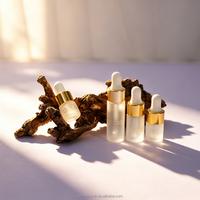 Flacons compte-gouttes en verre rechargeables haut de gamme de 1 à 10 ml – Bouteille givrée avec bouchon compte-gouttes doré pour sérums de soin de la peau