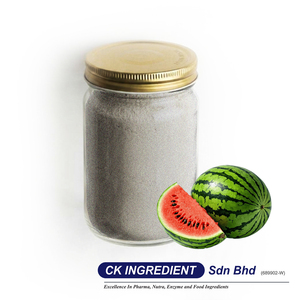 Poudre de jus de pastèque original, extrait de fruit rafraîchissant, base de boisson, complément alimentaire, support OEM ODM, directement de l'usine - Product Image 2