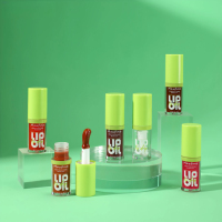 Lot de brillants à lèvres transparents verts en gros – Gloss, couleur à lèvres, rouge à lèvres effet miroir, brume aquatique, anti-transfert, longue tenue, taille standard, certifié