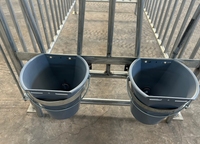 Enclos modulaire automatique en métal pour veau et box de sécurité individuel/double autoportant pour le soin des veaux et la clôture de la ferme
