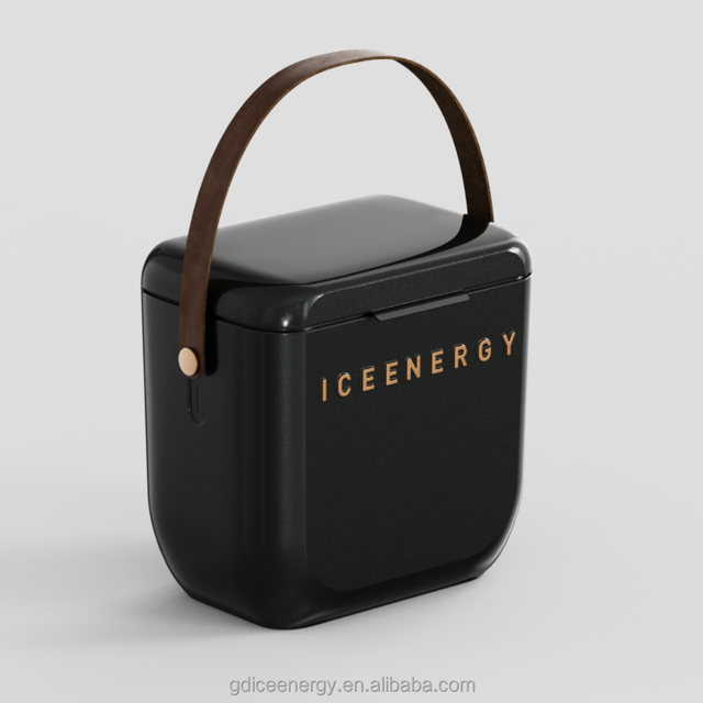 Custom OEM ODM Commercial Gifts Mini Glossy Insulated Box Hard Plastic 8L Cooler Box for Party