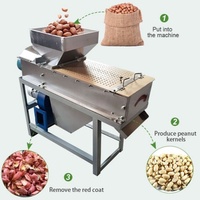 Machine combinée de torréfaction et de décorticage d'arachides avec rouleau à émeri pour le processus d'élimination des peaux mortes
