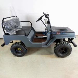Zhenda Mini Jeep New Buggy, Voitures de Luxe à Essence avec Garantie de 2 Ans pour Adultes, Transport Spécial à Vendre - Product Image 3