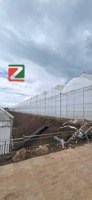 Système de serre en acier multi-tunnels solaires commerciaux pour l'agriculture hydroponique et la culture de légumes