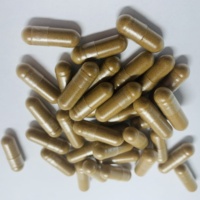 Capsules de plantes en vrac 400 mg Capsules de poudre de champignon Reishi