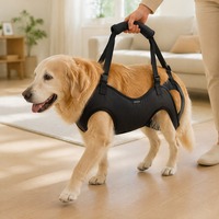 Sac de transport réglable pour animaux de compagnie en tissu Oxford, sac de voyage portable pour chien, bandoulière mains libres, respirant, pour la marche en extérieur