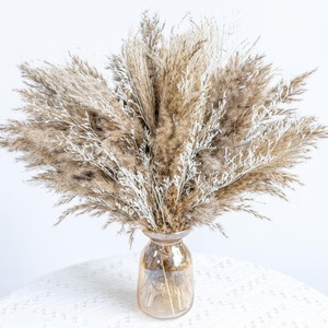 Bouquet de fleurs séchées d'herbe de la pampa - Petite herbe de la pampa et herbe de queue de lapin pour décoration de mariage, de remise de diplôme et de la maison - Product Image 5