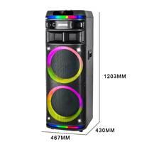 Altavoz de karaoke para fiestas CH-2127, doble woofer de 12 pulgadas, potente, para exteriores, con 2 micrófonos inalámbricos y control remoto.