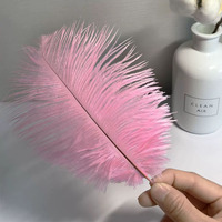 Usine Outlet Best-seller Artisanat 100% Plume 15-20cm Plumes d'autruche à tige fine pour la décoration et les fournitures de mariage