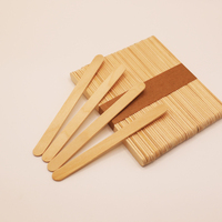 Échantillon gratuit Mini bâtonnets de glace en bois biodégradables naturels jetables Impression personnalisée du logo Bâtonnets de café en bambou Vente en gros de glaces en bois