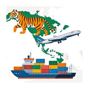 2026年畅销产品 从中国深圳义乌到菲律宾、新加坡、马来西亚 LCL 海运 快速运输代理 - Product Image 3