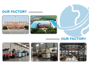 Độ chính xác đúc sm200a cao su máy ép phun cho sản xuất động cơ con dấu dầu và Xi lanh đầu miếng đệm - Product Image 6