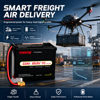Аккумуляторный блок VIWIPOW 66.6V 18S 22000mAh 7C полутвердотельный для логистических дронов, перезаряжаемый, по заводской цене