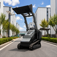 Mini Chargeuse Compacte sur Chenilles Économique, Moteur Kubota EPA Euro 5, Capacité de Charge 550 kg pour Jardin et Travaux Dom