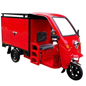 Triciclo Elettrico Personalizzato a <span class=keywords><strong>3</strong></span> Ruote per Consegne, Fornitura Diretta dalla Fabbrica - Product Image 1