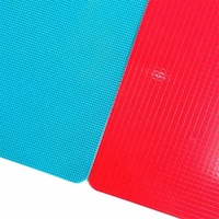 Planches à découper multifonctionnelles personnalisées, design coloré, en plastique PP pour cuisine, pour aliments crus et cuits, logo personnalisé