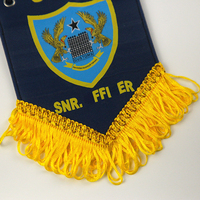 Badges personnalisés avec logo de club, écussons tissés thermocollants pour coupe de football, vente en gros pour vêtements et chapeaux