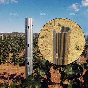 Poteau de treillis de vignoble en acier galvanisé avec poteau d'extrémité pour vignoble - Product Image 3