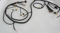 Harness Kabel Otomotif Kustom dengan Isolasi Nylon/PBT Berperingkat IP65 Layanan OEM/ODM untuk Aplikasi Otomotif & Komputer