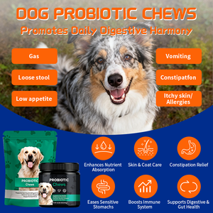 犬の消化性プロバイオティクスチューサプリメント、Lactobacillus Acidophilus & FOS、シニアストレスサポート、プライベートラベル & パッケージング - Product Image 2