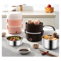 Réchauffeur Conteneur Portable Stockage Des Aliments Cuiseur À Riz Chauffage Électrique Boîte À Lunch En Acier Inoxydable CLASSIQUE pour La Maison Et Le Bureau Sans quantité minimale de commande