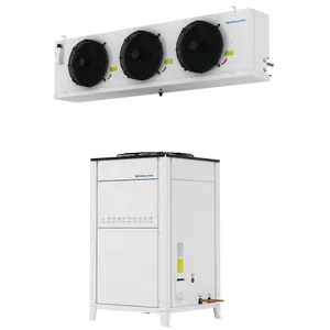 8 HP 10HP 15HP 20HP 30HP caminhada em recipiente de freezer, caixa de gelo, armazenamento a frio, unidade de condensação e evaporador de -25 graus