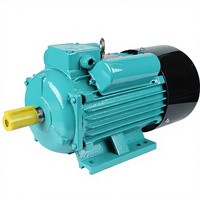 Moteurs AC de remplacement pour WEG/Siemens dans les lignes d'emballage, 220V monophasé, 0,55-4KW, 2/4 pôles, enroulement en fil de cuivre, garantie 1 an