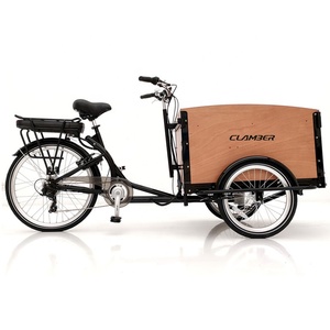 <span class=keywords><strong>Remorque</strong></span> de transport pour animaux de compagnie de haute qualité avec boîte en bois, <span class=keywords><strong>vélo</strong></span> cargo <span class=keywords><strong>électrique</strong></span> familial à trois roues, tricycle <span class=keywords><strong>électrique</strong></span> - Product Image 1