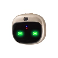 Traceur GPS/GSM/GPRS portable 4G OEM pour collier d'animal, mini localisateur GPS pour collier de chat, traceur GPS pour chien