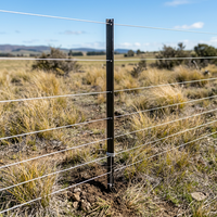Poteau en Y en bitume peint durable de 1,86 kg/m, longueur 1,83 m (6 pi), écologique et résistant aux intempéries pour clôture de pâturages de bovins et de moutons