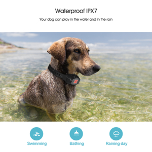 Valla Electrónica Portátil para Mascotas F800 con GPS, <span class=keywords><strong>Collar</strong></span> con GPS para Perros Grandes, Valla Inalámbrica para Perros - Product Image 3