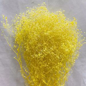 2026 nuovi arrivano fiori di alta qualità milioni di stelle per la decorazione di nozze a casa conservati milioni di stelle per la <span class=keywords><strong>Flora</strong></span> - Product Image 2