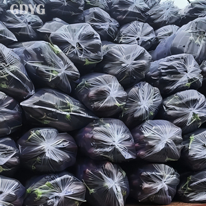 Tiras de Berenjena Frita Congelada IQF a Granel de China, la Mejor Calidad |   10 kg |   <span class=keywords><strong>Precio</strong></span> Competitivo |   Vegetales Congelados al por Mayor para Exportación. - Product Image 6
