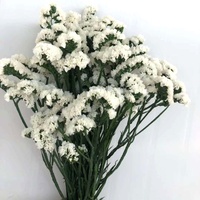 Verkoop China Groothandelsprijs Echte Verse Natuurlijk Ge conserveerde Bloemen en Planten Vergeet-mij-nietjes Bloem