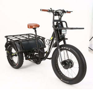 Triciclo de Reparto de Tres Ruedas de Largo Alcance y 2000W - Product Image 1