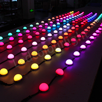 Guirlande lumineuse LED de Noël pour extérieur, lumière LED à pixels, lumière ponctuelle à pixels LED, 50 mm, lumière ponctuelle permanente pour extérieur, pour décoration festive