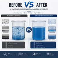 Système d'extraction ultrasonique haute performance à faible bruit pour la transformation des aliments et des nanomatériaux – Machine de sonochimie