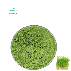 Pabrik grosir bubuk WheatGrass mentah bubuk jus rumput gandum organik hijau alami - Product Image 3