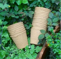 Vente en gros de transplanteur de fibres végétales biodégradables EG Plateau Pâte à papier Fleur Plante Pots de tourbe Semis Léger Durable
