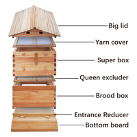 Caja de Colmena de Flujo Automático para Abejas, de Madera de Abeto Chino, con Kit de Flujo Encerado, 7 Marcos de Flujo y 10 Marcos Langstroth