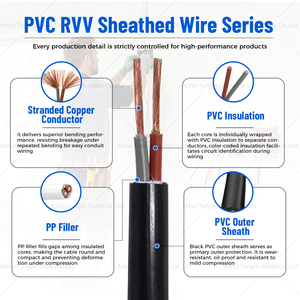 Cable de Control Flexible H05VV-F RVV, 2 Núcleos, 2x6mm², 300/500V, IEC 60227, Cubierta de PVC y Cobre, para Cableado de Equipos Industriales - Product Image 2