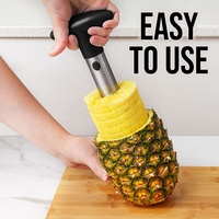 Ananas Snijmachine Snijder Ananas Boor En Snijmachine Gereedschap