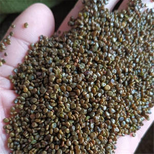 OEM Label pribadi pria kuat suplemen Herbal penguat Stamina kapsul meningkatkan dengan Tribulus terreseis ekstrak kemasan Drum - Product Image 4