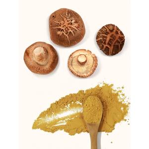 沁山堂高品质有机β-葡聚糖≥10%散装香菇提取物粉 - Product Image 1