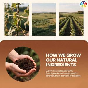 Café Premium Weight Manage con extracto <span class=keywords><strong>de</strong></span> frijol verde y vinagre <span class=keywords><strong>de</strong></span> sidra <span class=keywords><strong>de</strong></span> <span class=keywords><strong>manzana</strong></span> compatible con el metabolismo y el polvo adelgazante para quemar grasa - Product Image 4