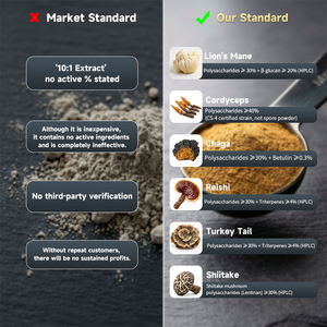 Estratto di Funghi Nutrizionali Biologici USDA EU 10 in 1 Complesso in Polvere: Criniera di Leone, Reishi, Coda di Tacchino - OEM - Product Image 2